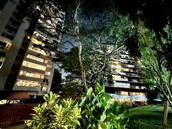 Hillcrest Arcadia (D11), Condominium #559723661